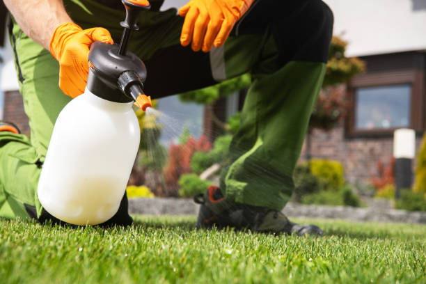 Best Residential Pest Control  in Brooklyn Center, MN