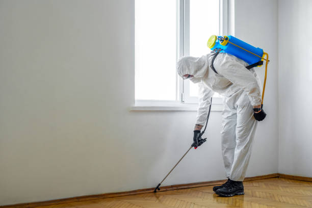 Best Residential Pest Control  in Brooklyn Center, MN
