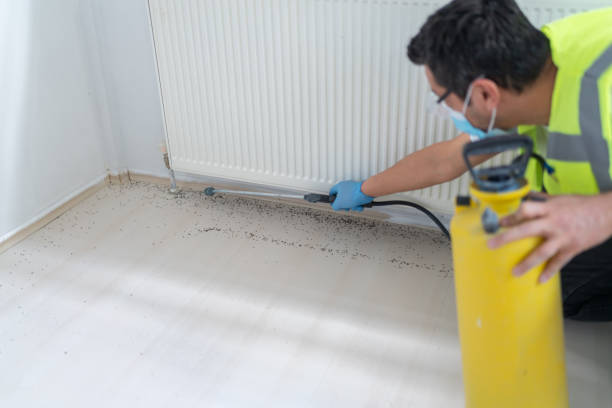 Best Bed Bug Extermination  in Brooklyn Center, MN