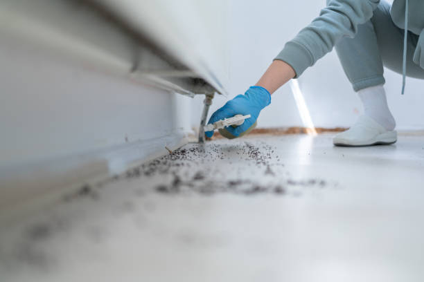 Best Pest Control Cost  in Brooklyn Center, MN